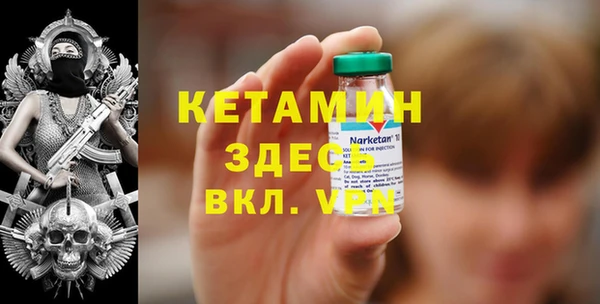 хмурый Ельня