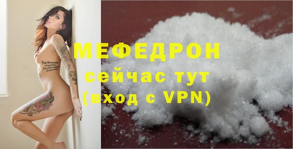 хмурый Ельня