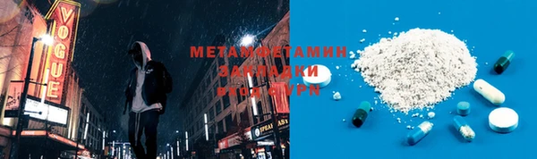 хмурый Ельня