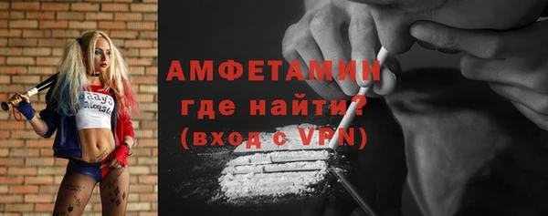 хмурый Ельня
