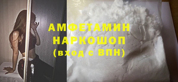 хмурый Ельня