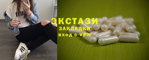 хмурый Ельня