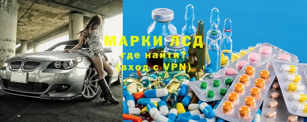 хмурый Ельня