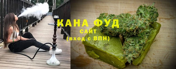 хмурый Ельня