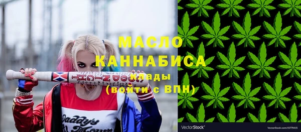 хмурый Ельня