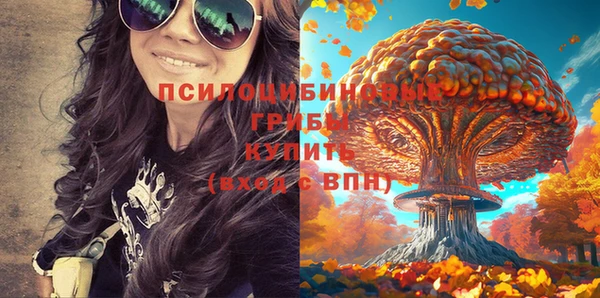 хмурый Ельня