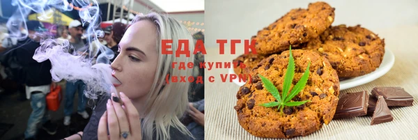 хмурый Ельня