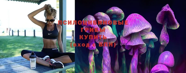 хмурый Ельня